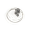 lashsense-lashes-refill-plumeria-1-ct