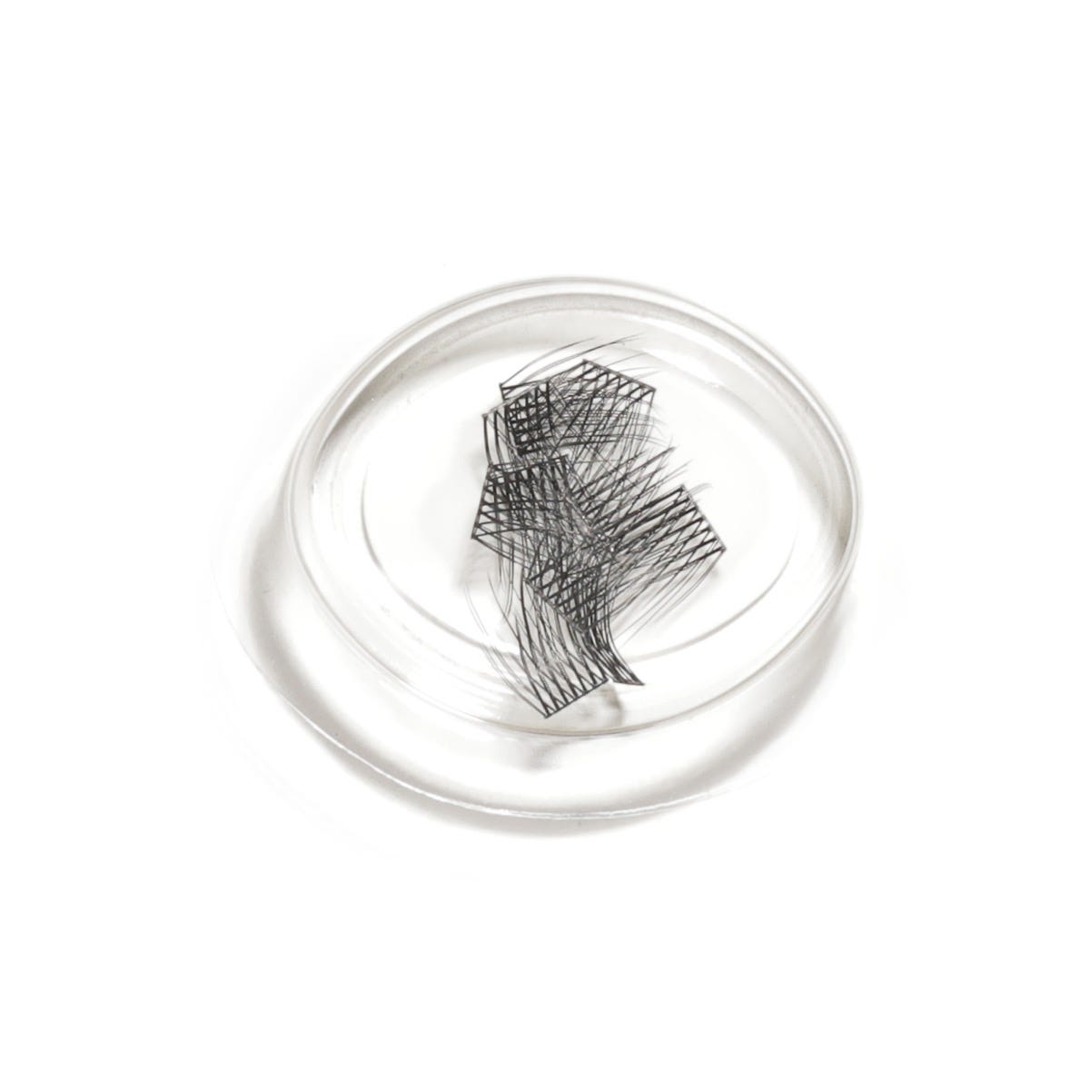lashsense-lashes-refill-plumeria-4-ct