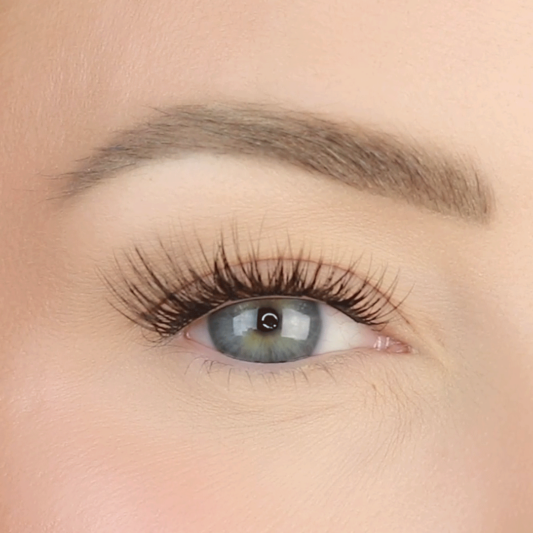 lashsense-lashes-bloom-box