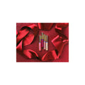Fresh Baked Holiday Scented Gloss Mini Collection